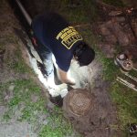 clearwtare sewer repair