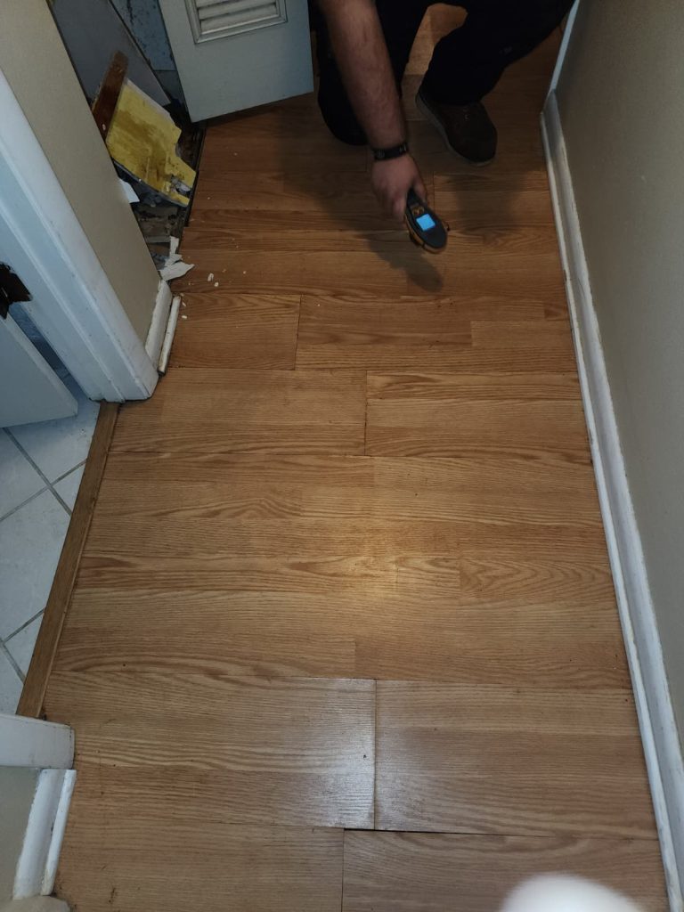 hallway floor moisture meter inspection.jpeg