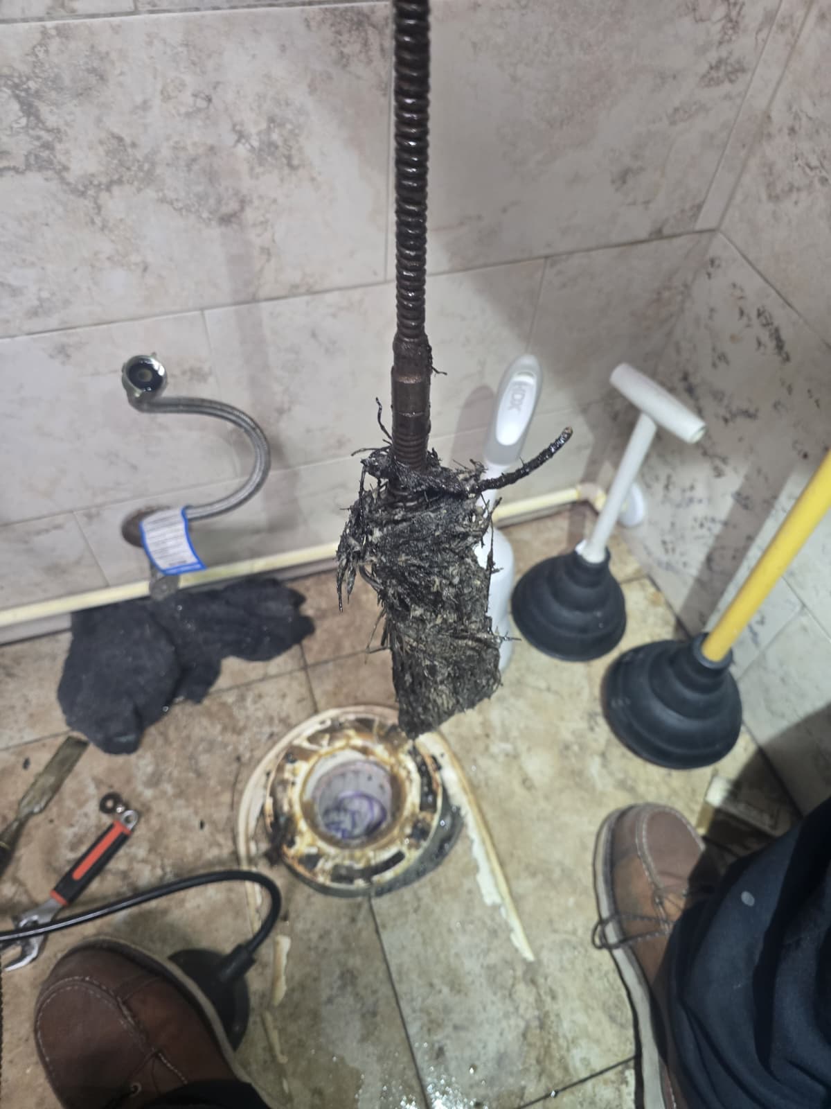 Debris removed during commercial floor drain cleaning at Ozona Brewing Company